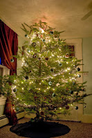Our glorious Christmas tree