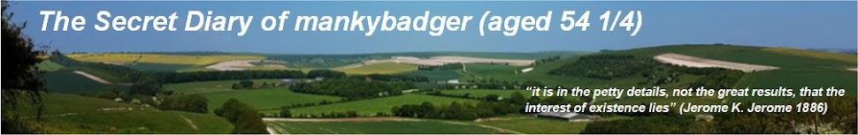 The Secret Diary of Manky Badger