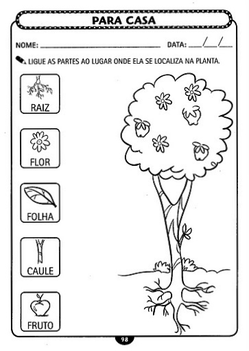 atividades alfabetizacao jardim horta pomarATIVIDADES 1° ANO atividades alfabetizacao jardim horta pomarATIVIDADES 1° ANO