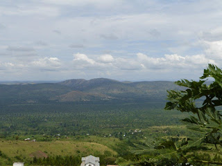 P1040033.jpg