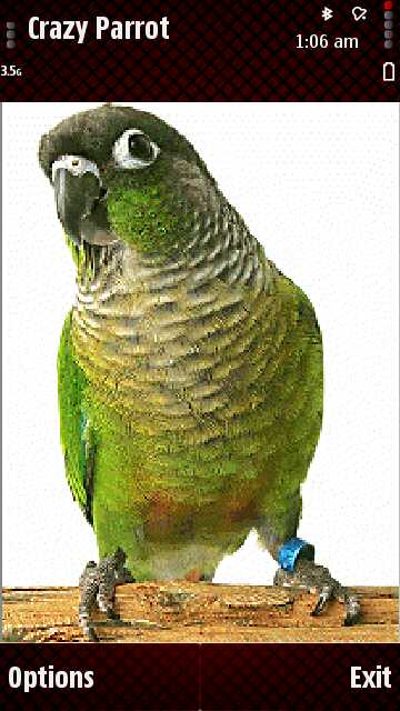 talking tom cat java file free