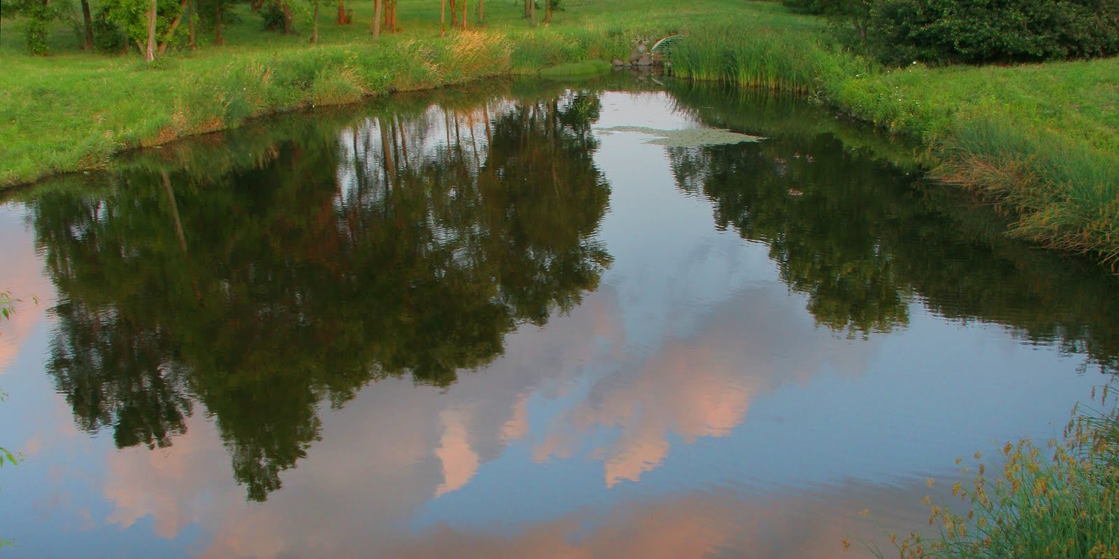 A Greener Madison Sediment Ponds