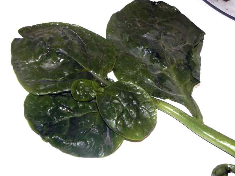 Fruits & Vegetables Benefits: Health Benefits of Spinach