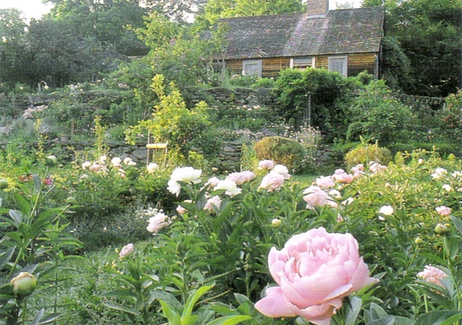 Tasha Tudor