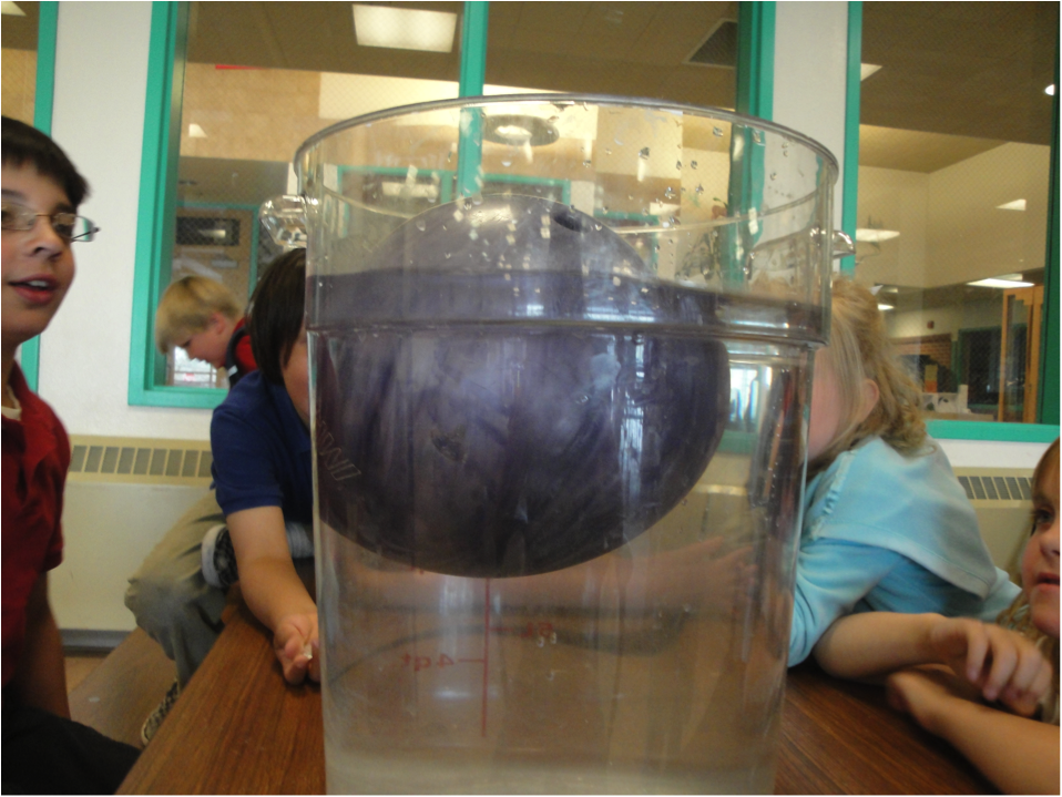 CC Afterschool Science of Density