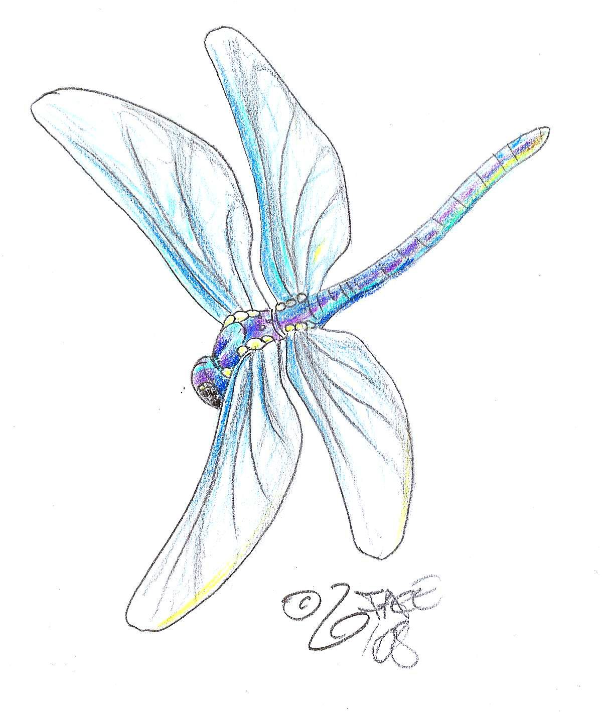 Dragonfly Tattoo The Most Popular Tattoo Design For Women