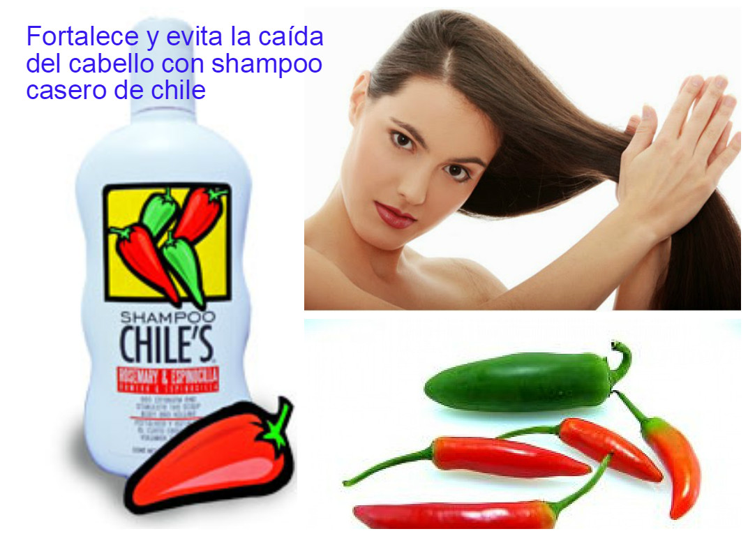 Shampoo de chile casero para evitar la caída del cabello y fortalecerlo