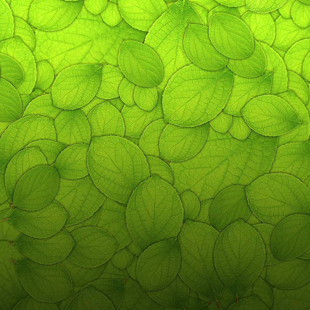 http://4.bp.blogspot.com/-kd3U0FM6IO4/ToUfgZsRmjI/AAAAAAAAAVM/ok_LUZVd1dE/s1600/Leaf+dark+iPad-iPad+2+Wallpapers.jpg
