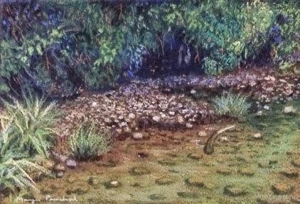 Soft pastel painting of Coorg Landscape with pebbles under water. By Manju Panchal