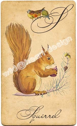 Wild@heart: S is for Squirrel