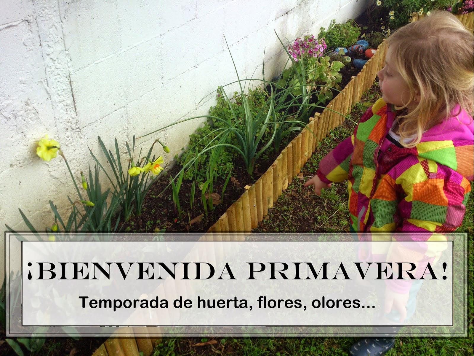 El Patio de mi Casa Escuela Infantil Bienvenida Primavera
