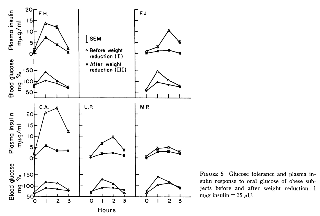 insulin levels and a slow metabolism insulin levels and a slow metabolism