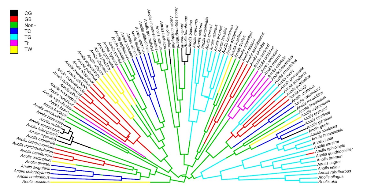 Phylogenetic Tools For Comparative Biology Plotting