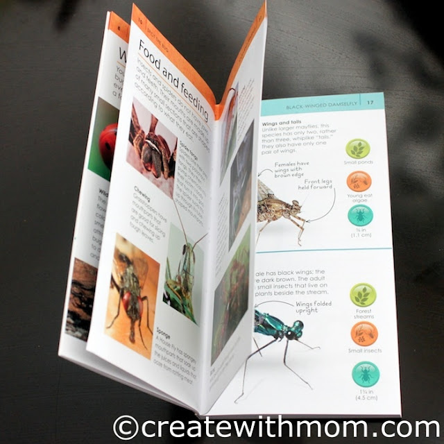 bug book