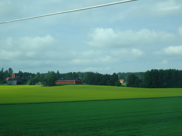 DSC02041.JPG