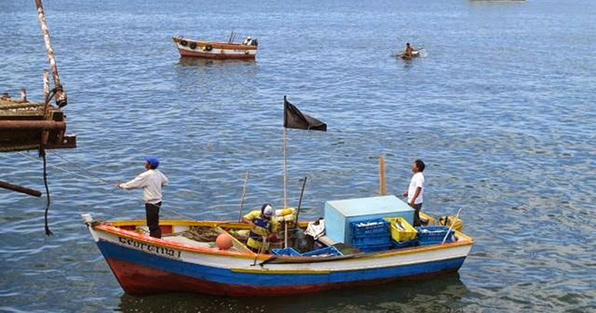 Tonchigüe al día Utilizan material industrial en zona marina de pesca