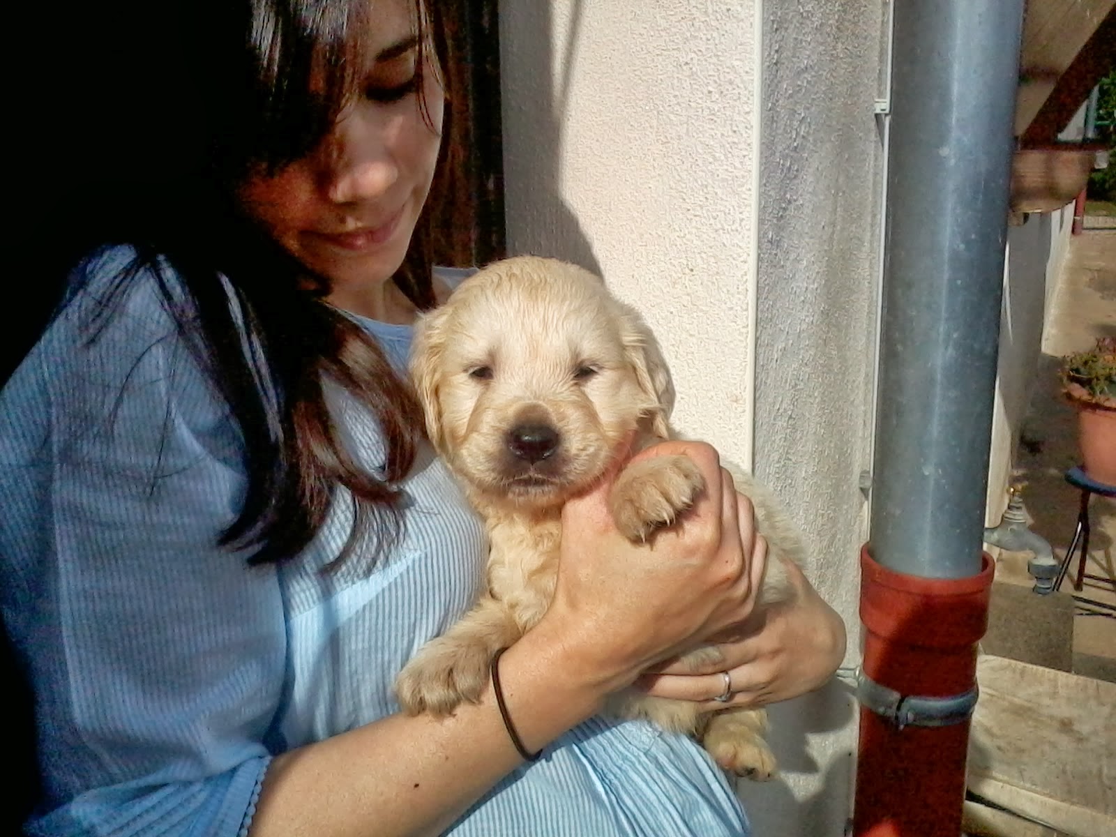 premiere rencontre avec bebe