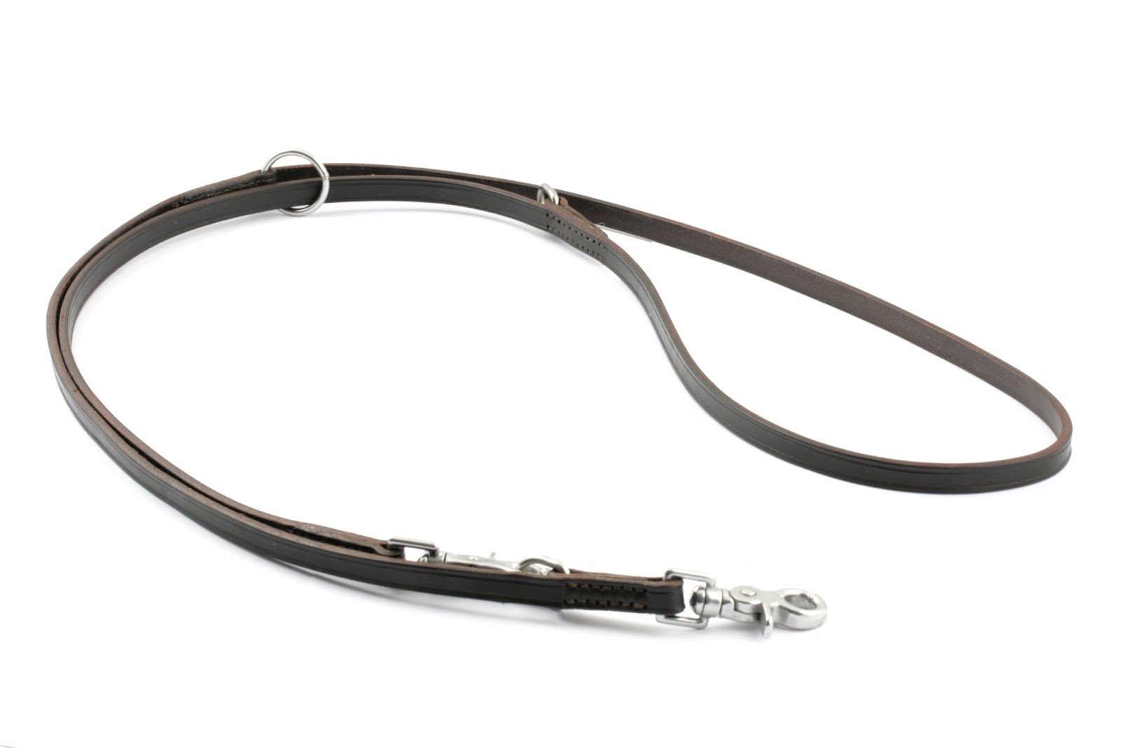 Leash Training Older Dog Video Leash Training Older Dog Video