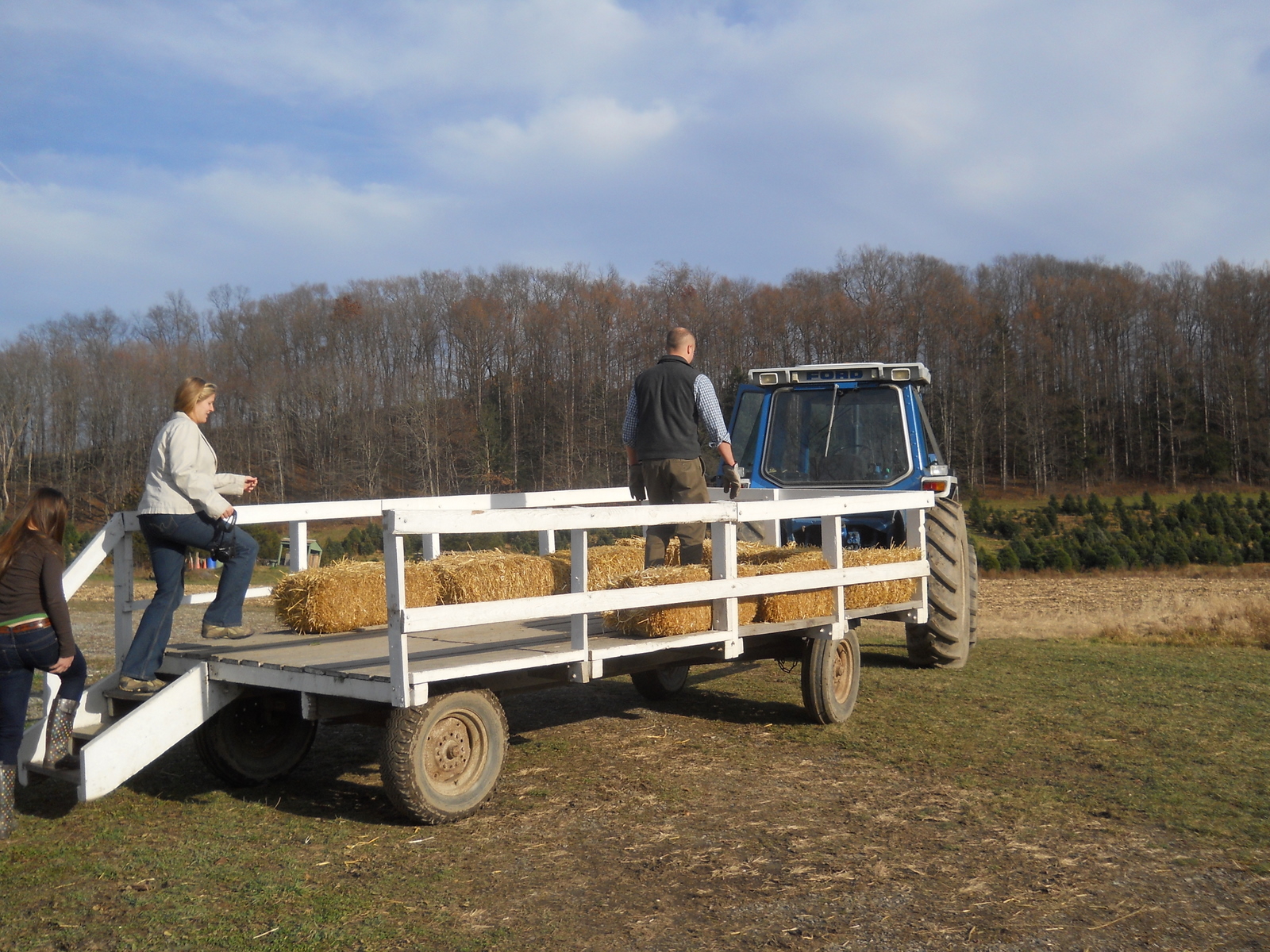 Bentley Farm Gazette Ten Steps To Get A Christmas Tree