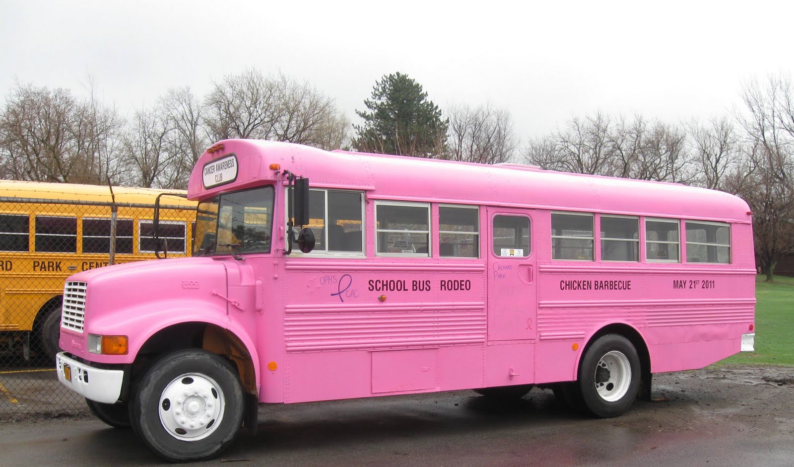 Creativespirit The "Pink Bus" in WNY