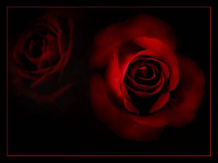 Red Colour Wallpaper colour wallpaper. Red Colour Wallpaper