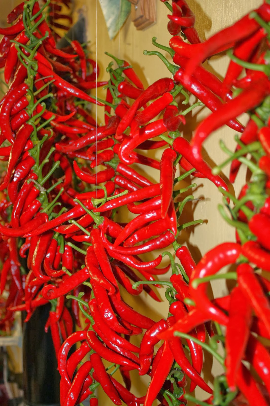 Bosavern Community Farm Drying chillies.