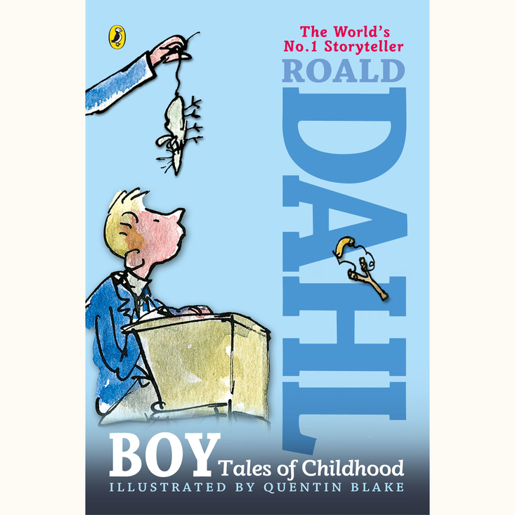 essay on boy by roald dahl essay on boy by roald dahl
