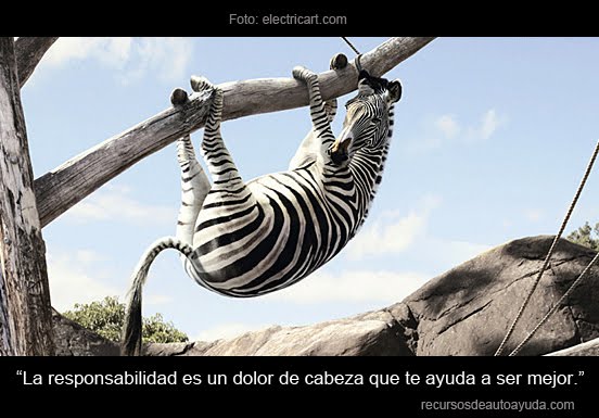 Asumir Responsabilidades.