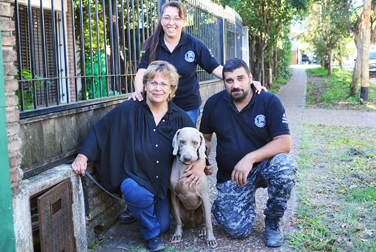 BRUNO UN WEIMARANER AYUDANTE DE LA POLICÍA ARGENTINA