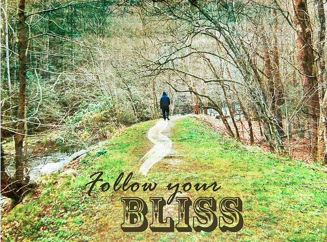 FOLLOW YOUR BLISS