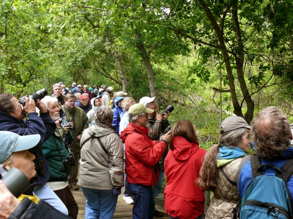 Magee Marsh's legendary boardwalk