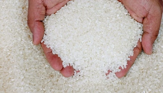 Beras Sintetis Lokal yang Tidak Berbahaya beras sintetis bukan plastik, beras sintetis buatan indonesia, beras sintetis bagi kesehatan