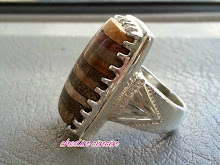 CINCIN FOSSIL CAMPUR