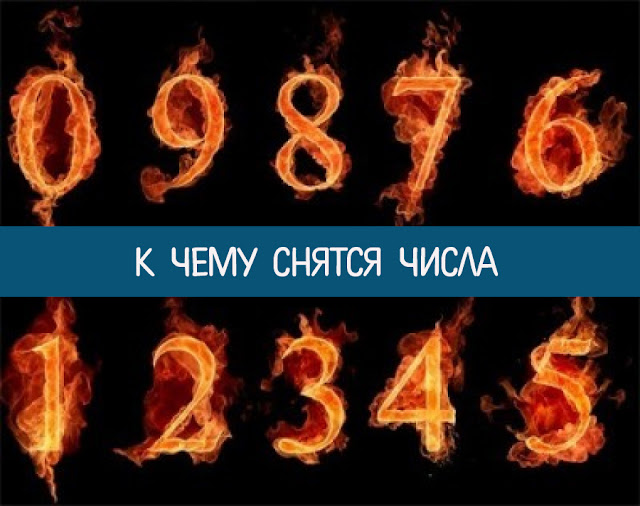 Сонник кот злой Сонник кот злой