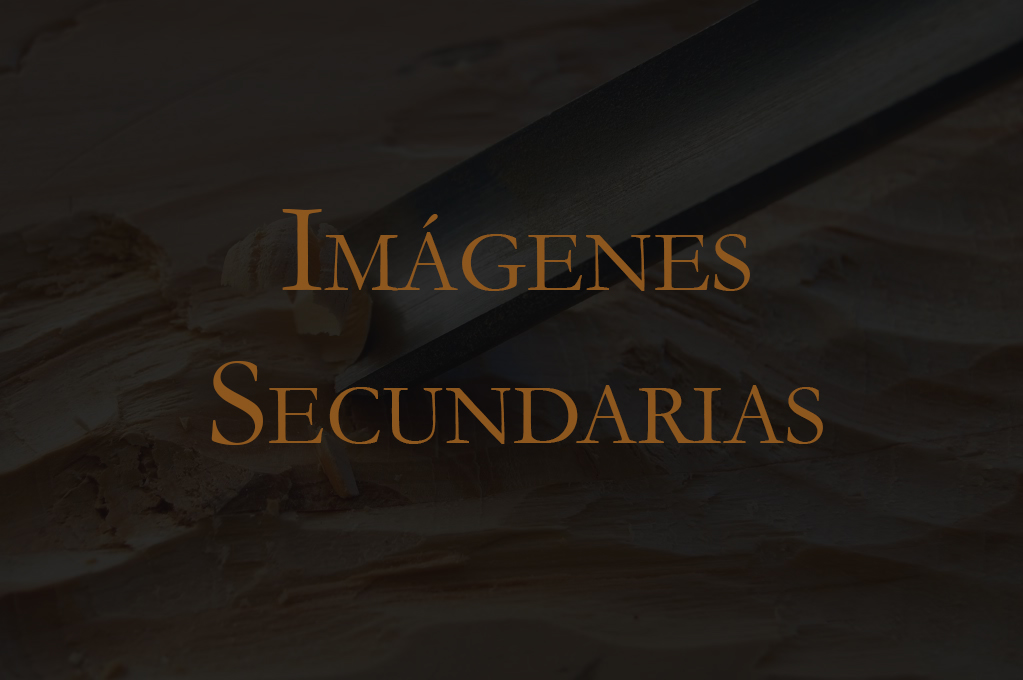 Imágenes Secundarias