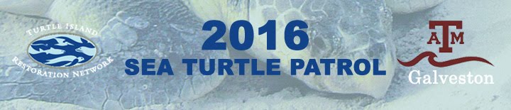 2016 Sea Turtle Patrol