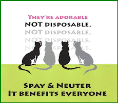 Be Responsible Pet Owner