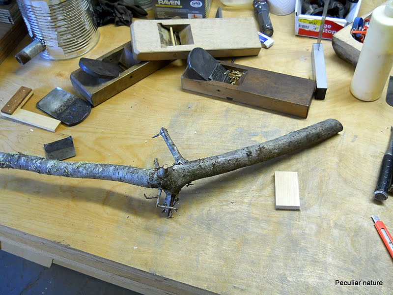 Invasive species at work Japanese carpentry plane rehab DIY