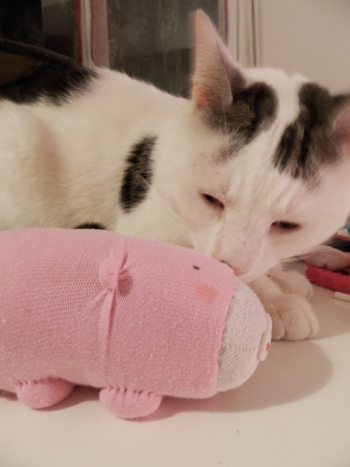 Coton et Création : Cochon en chaussette