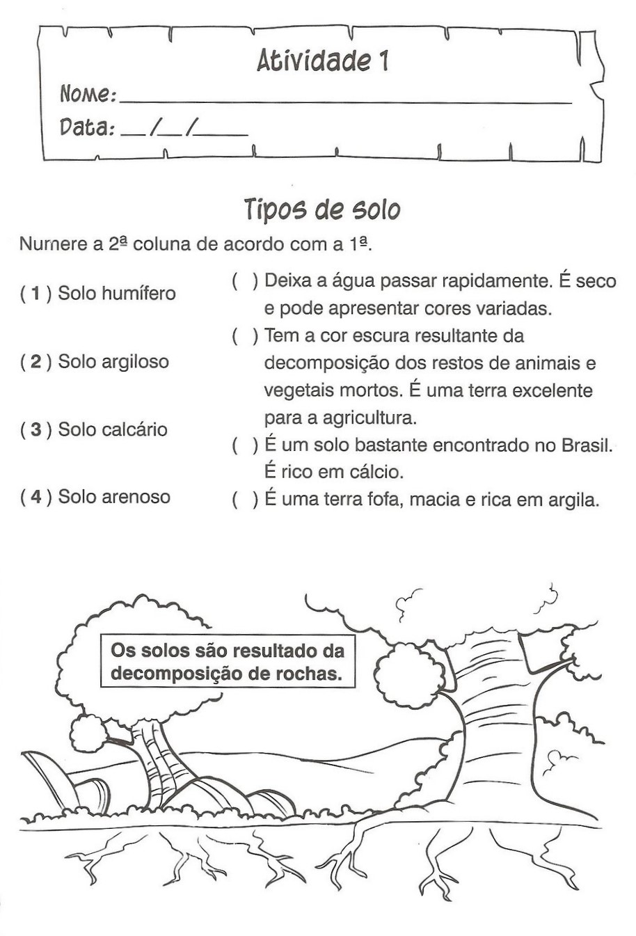 Tipos de solo Tipos de solo
