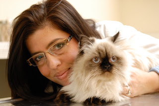 Dr. Kandi Norrell, primary care veterinarian Dr. Kandi Norrell, primary care veterinarian at the University of Illinois Veterinary Teaching Hospital