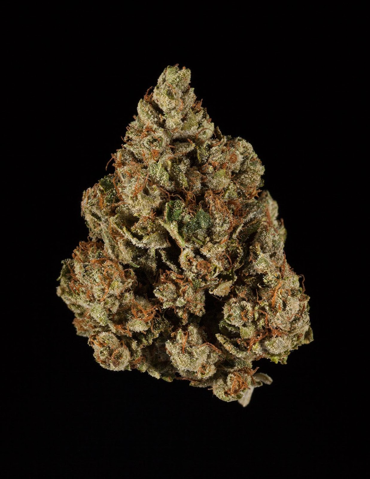 Master Yoda Kush Master Yoda Kush