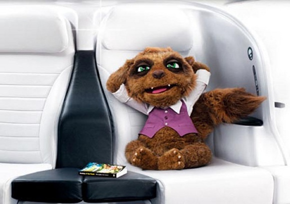 Tak wygląda Rico - maskotka Air New Zealand