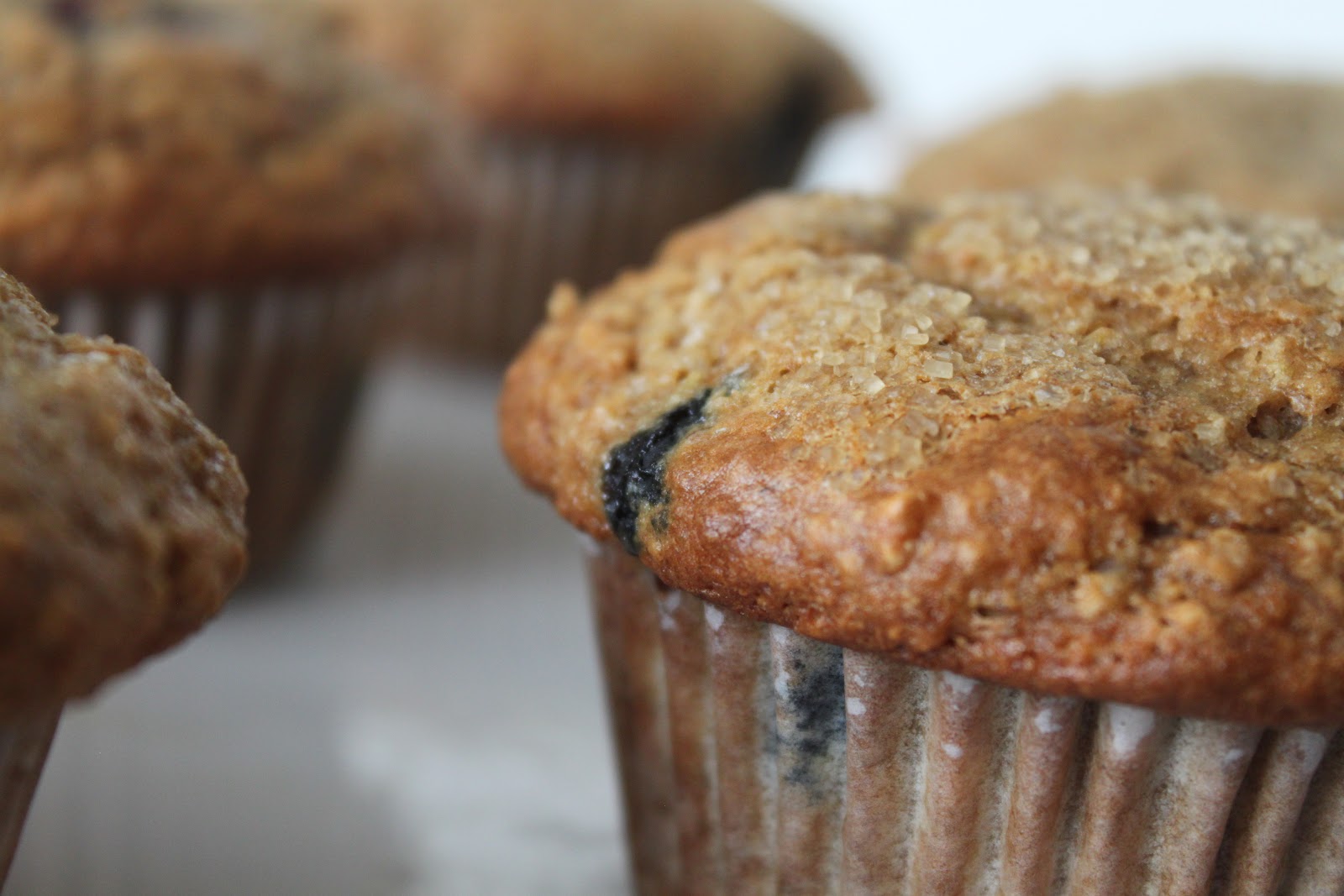 A Bountiful Kitchen BlueberryBanana Light Wheat Muffins