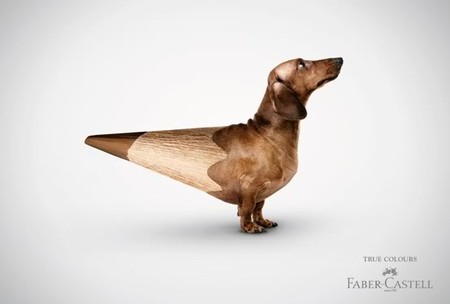 Faber-Castell: True Colours Faber-Castell: True Colours
