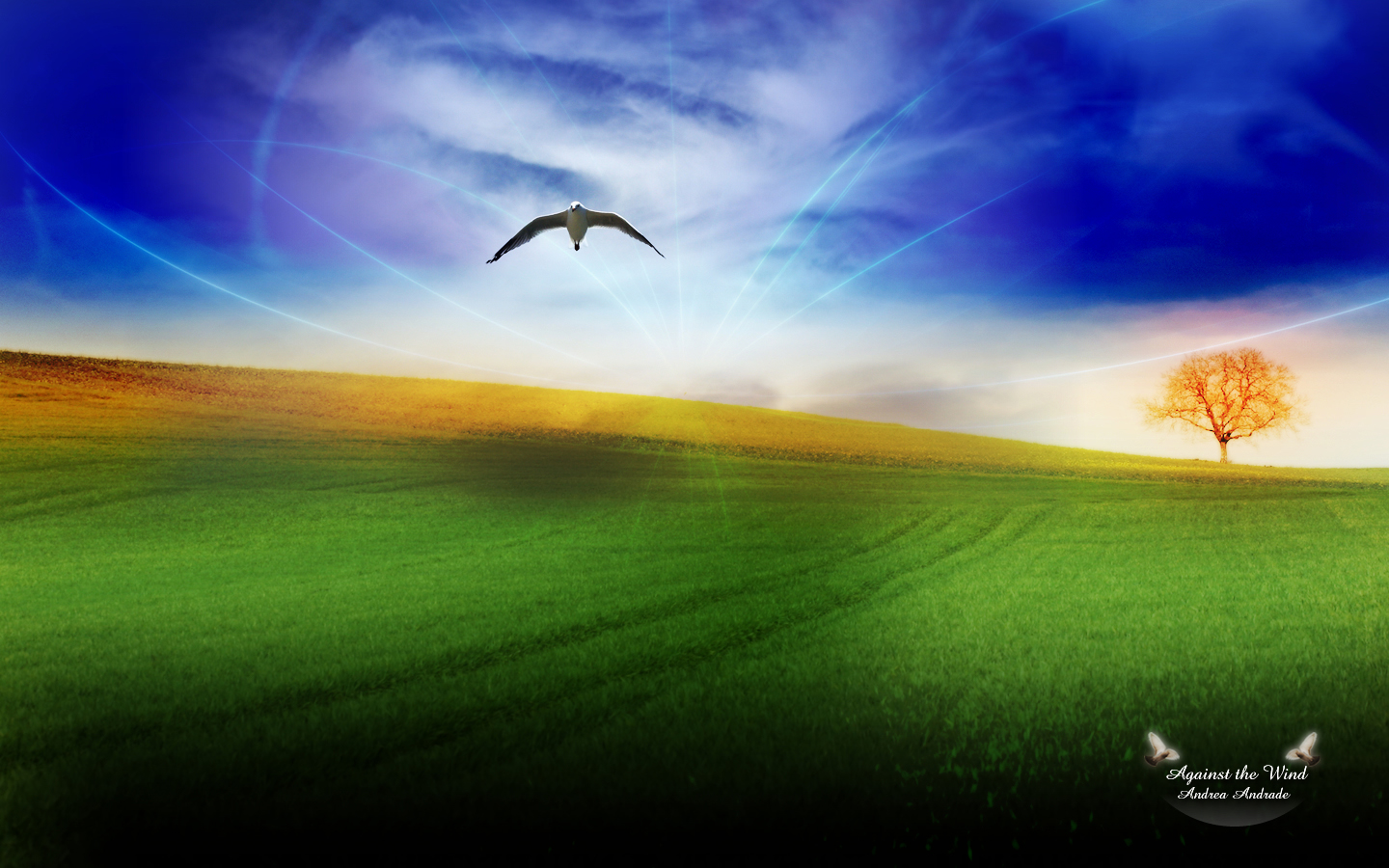 Teacher On The Radio: The Wind (TOTR 171)