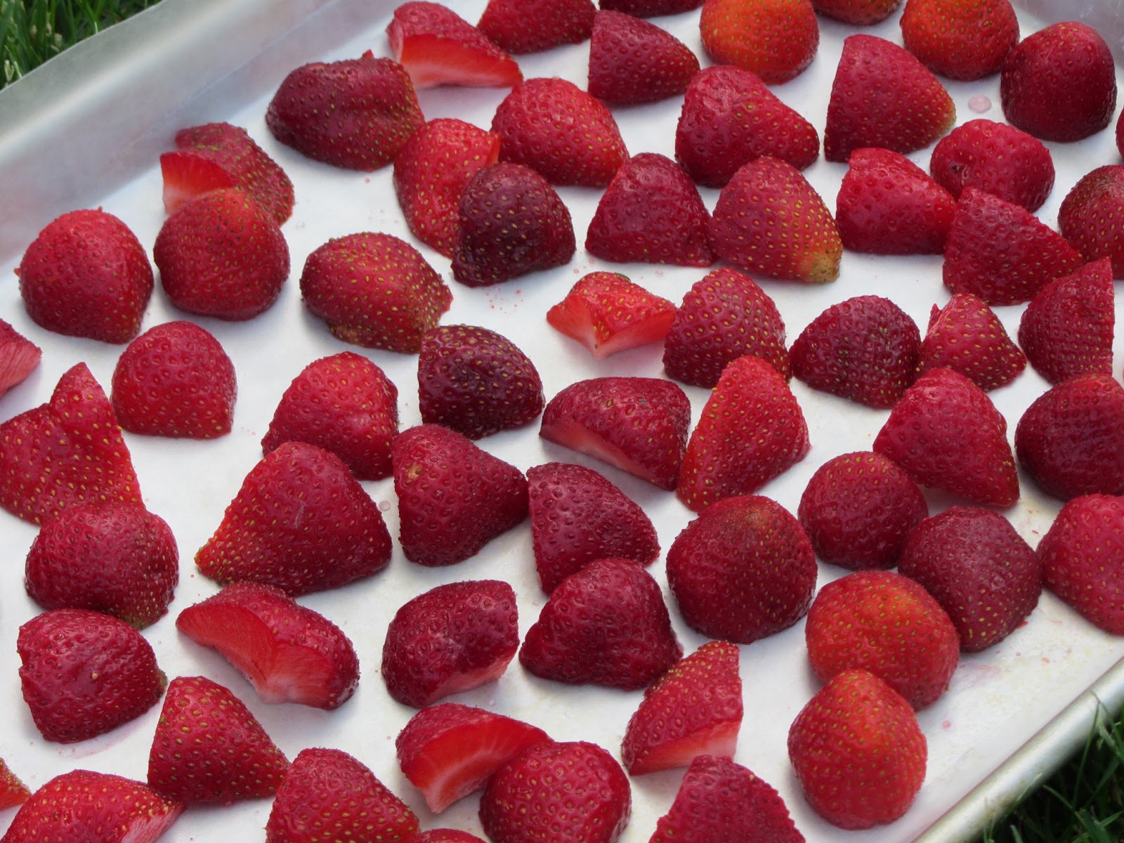 Been There Baked That Preserving Berries