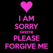 i m sorry 4 blaming u shayari sms messages sorry shayari