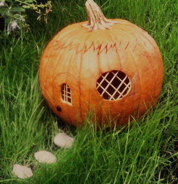 TEN TINY Pumpkin Houses/Huts HAPPY HALLOWEEN!
