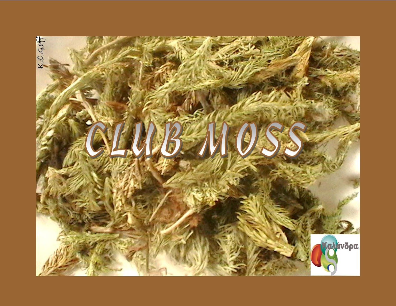 download club moss for free